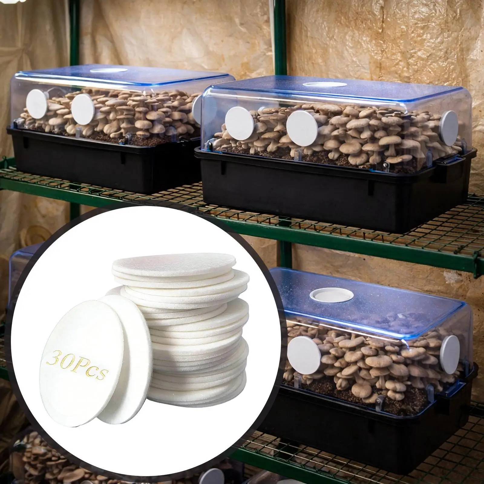 30 Pieces Monotub Adhesive Filter disks, 2.5mm Thick Monotub Filter Discs for Mushroom Cultivation