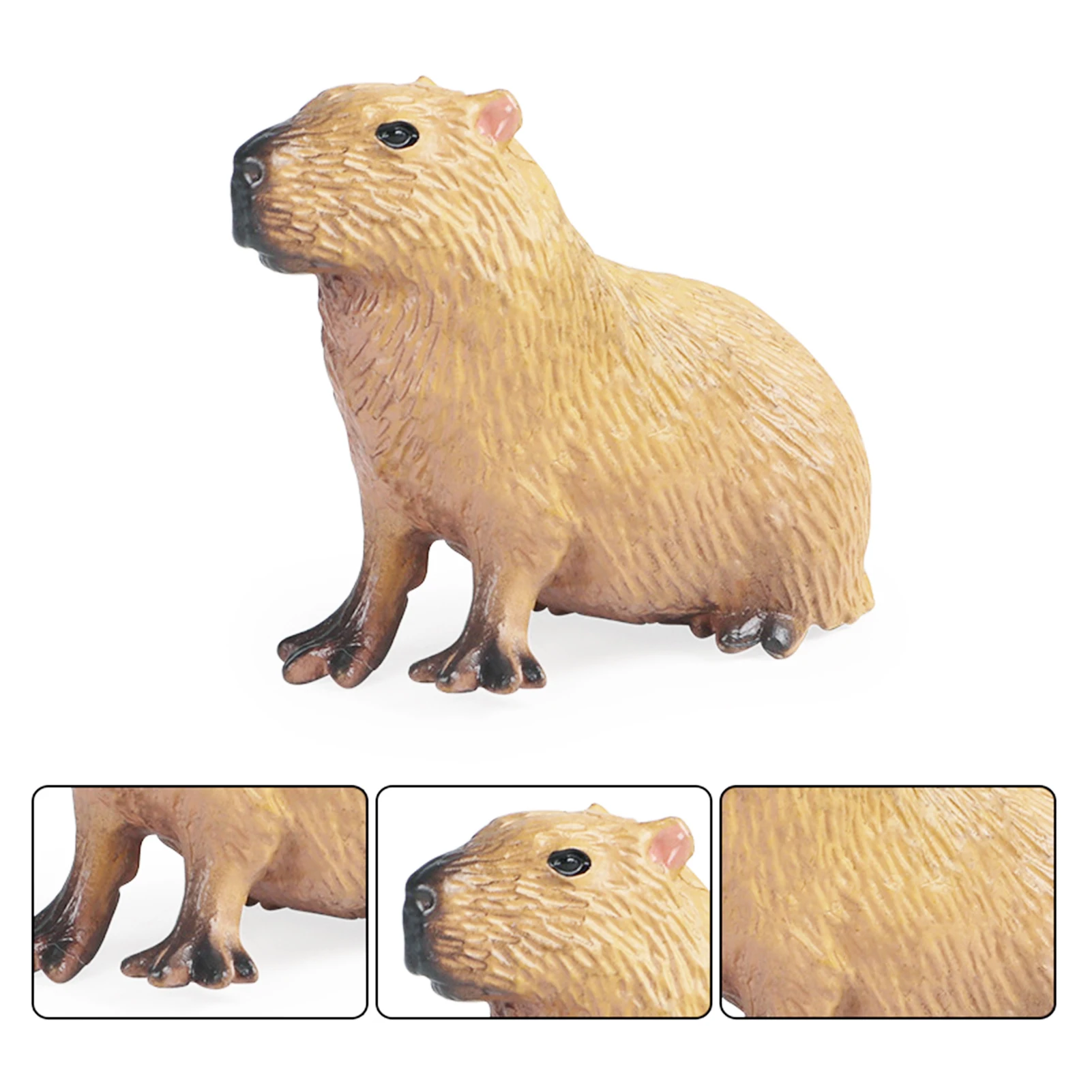 Simulation Capybara Figures Ornaments Lovely Educational Wildlife Animals Model Toy for Kids Scientific Cognitive Toys