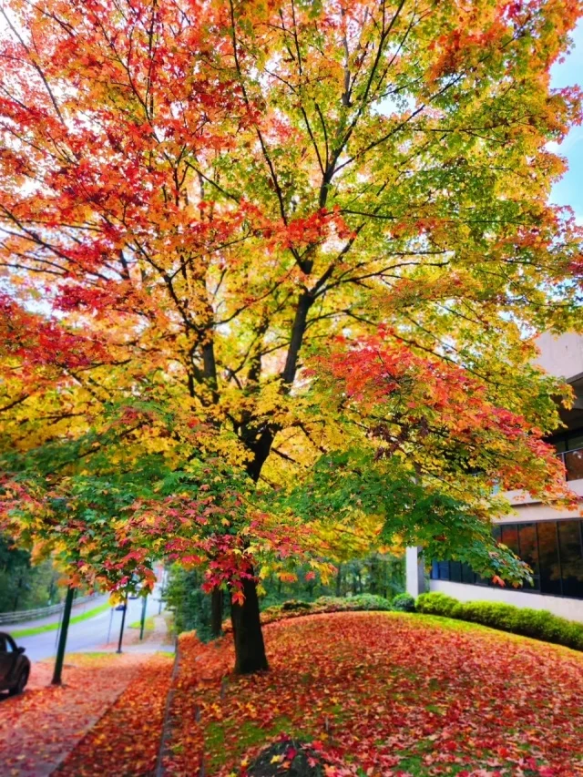 

40ml Metal Alloy Creative Ancient Egypt Shot Glass Bar Drinkware Accessories Cocktail Set