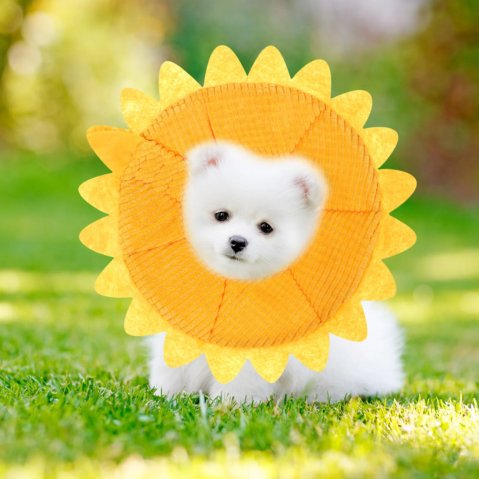 

Pet Collar Dog Protection Adjustable Necklace Flower Design Soft Durable Fiber Material Cone Anti Scratch Pet Supplies