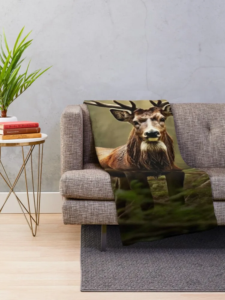 Animaux des bois enchantés Throw Blanket Sofas Decorative Sofa Sofa Quilt christmas decoration Blankets