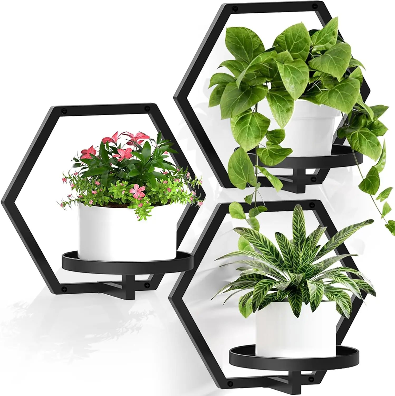 

3-Pack Hexagonal Wall Planters, 7.9" Metal Hanger for Indoor/Outdoor Plants, Black
