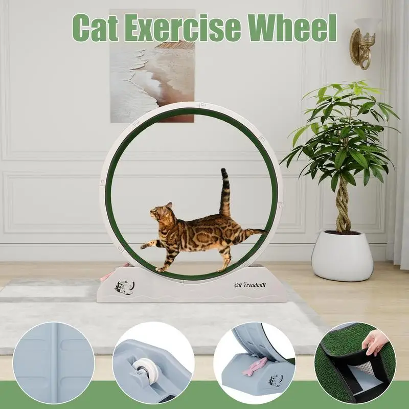 Rueda para correr para gatos, equipo de Fitness para gatitos, ejercitador de rueda grande para gatos, cinta de correr de seguridad para interiores con Teaser