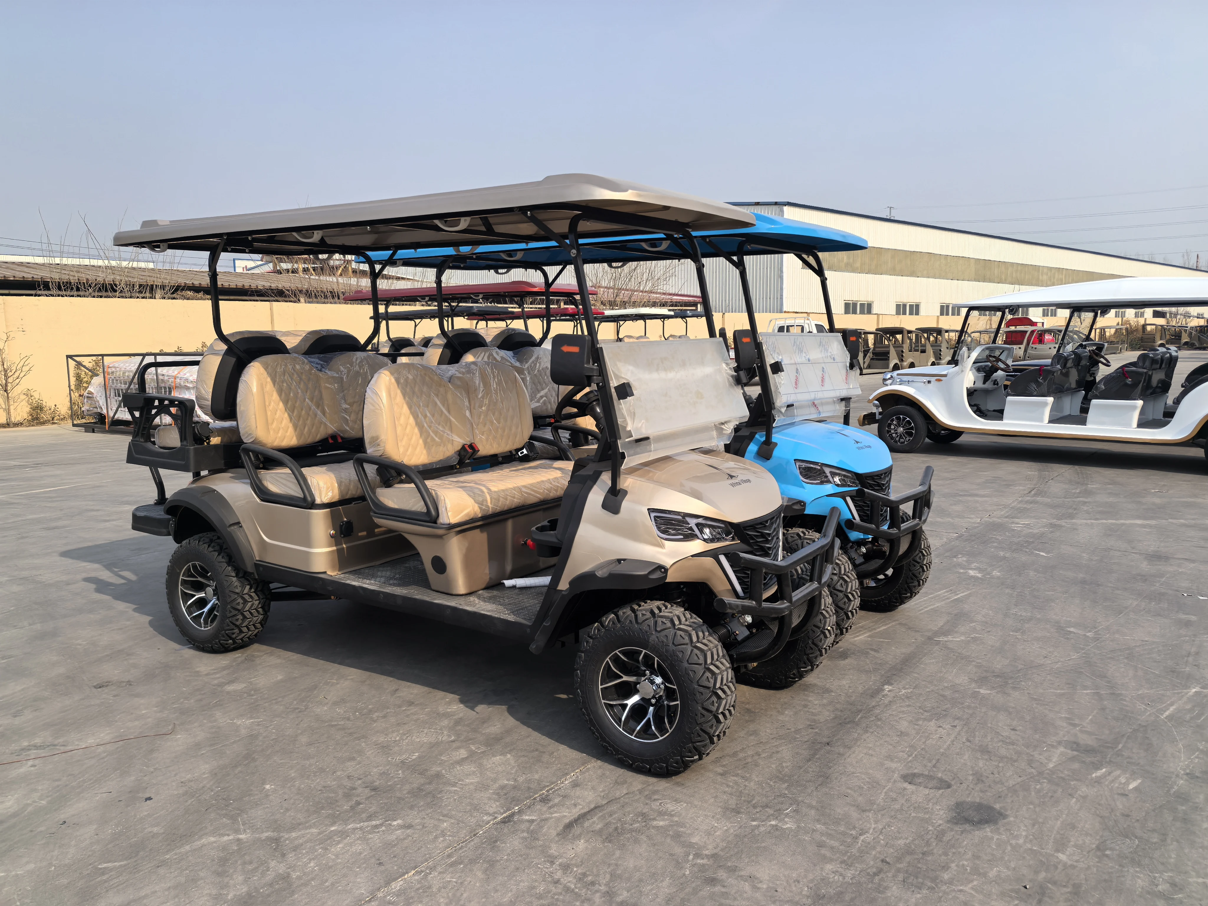High-Performance Eco-Friendly Electric Golf Cart Energy Saving Green Mobility