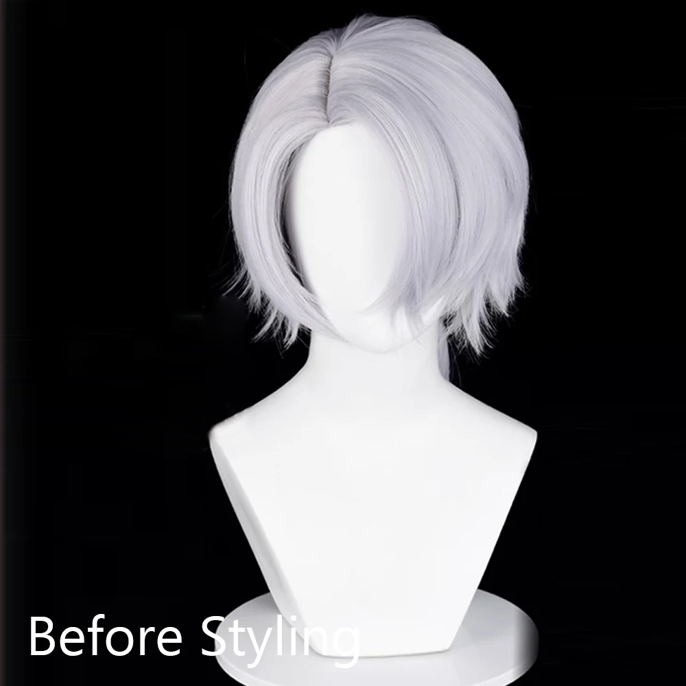 Silver Grey Men Cosplay Wig Short Straight Layered Long Ponytail Heat Resistant Synthetic Wig for Anime Costume Party