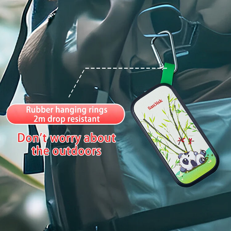 Sandisk E30 Ssd Type-C Panda Limited Edition Interne Solid State Disk 2Tb Encryptie Pssd Originele Externe Harde Schijf Ssd