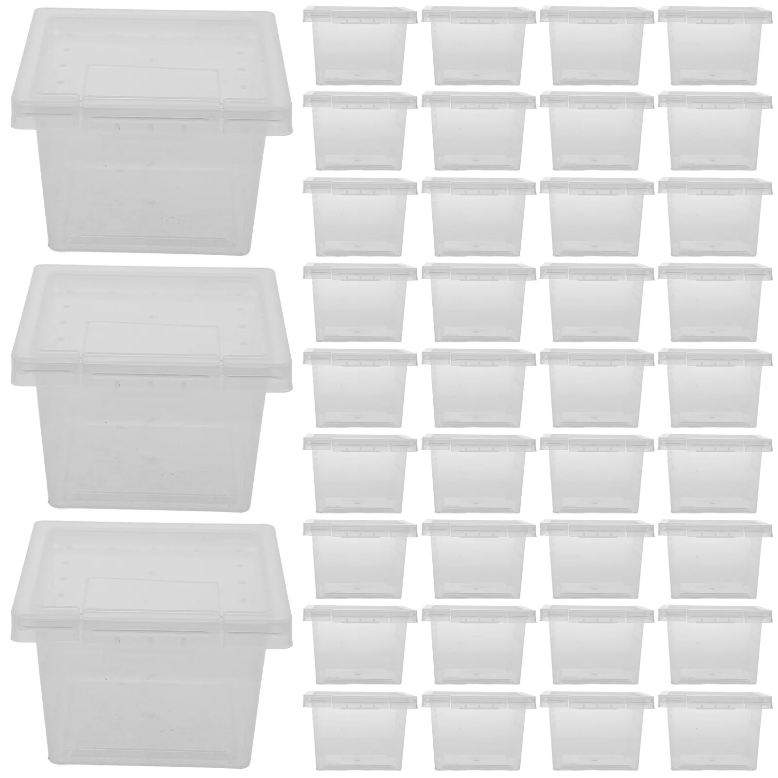 100Pcs Insect Feeding Box Premium Transparent Reptile Breeding Container for Tarantulas Crickets Snails Mantis Lizard Spider