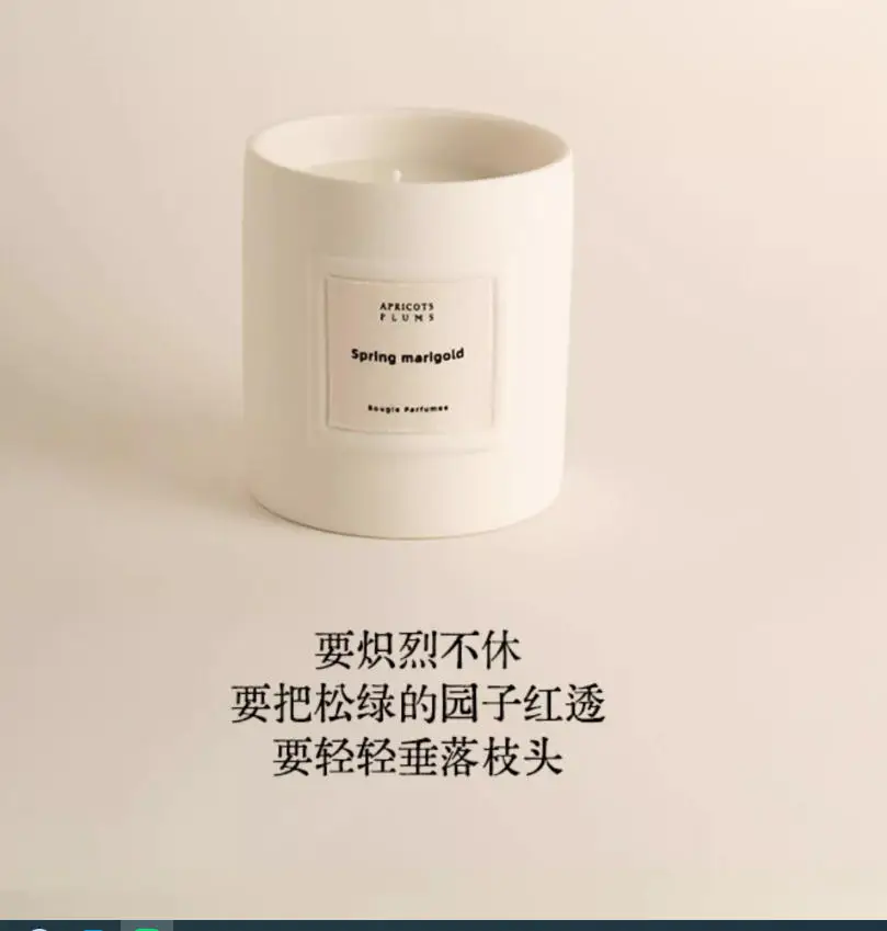 

325265 Apricot & Plum Autumn Whisper Collection, Scented Candle in Ceramic Jar, Long-Lasting Home Fragrance for Indoor Use, Pre