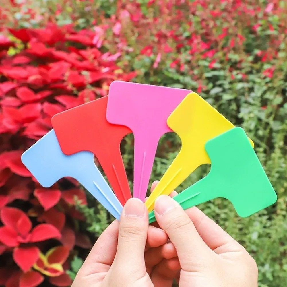 100PCS Waterproof Nursery Garden Plant Tags Thickened Moisture-proof T-type Tags Decorative Colorful Plastic Writing Plate