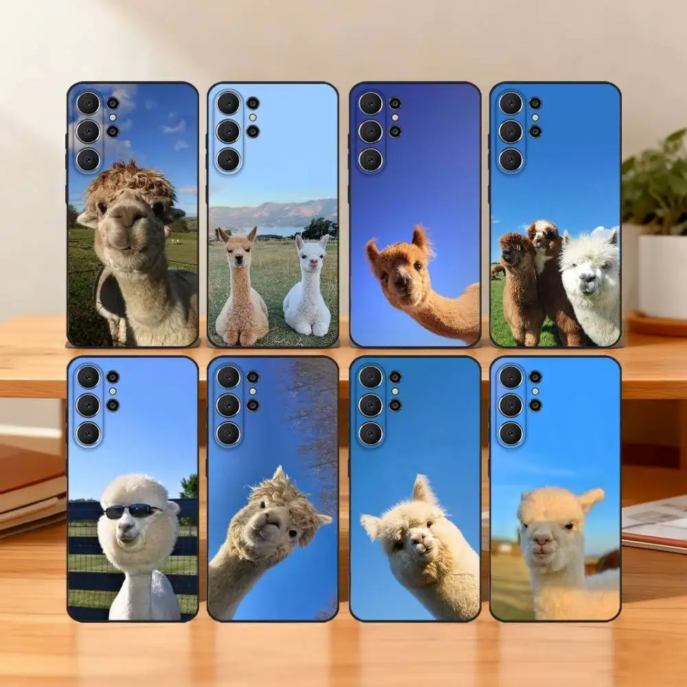 S-Smiling Alpaca Ph… - image