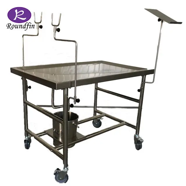 Roundfin Animal Pet Clinic Table Stainless Steel Animal Operating Table