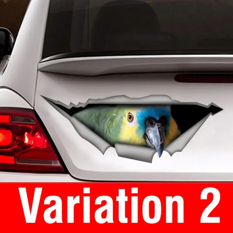 DECAL | Blue Fronted Amazon parrot decal, parrot sticker, birds car decal, amazon car decal