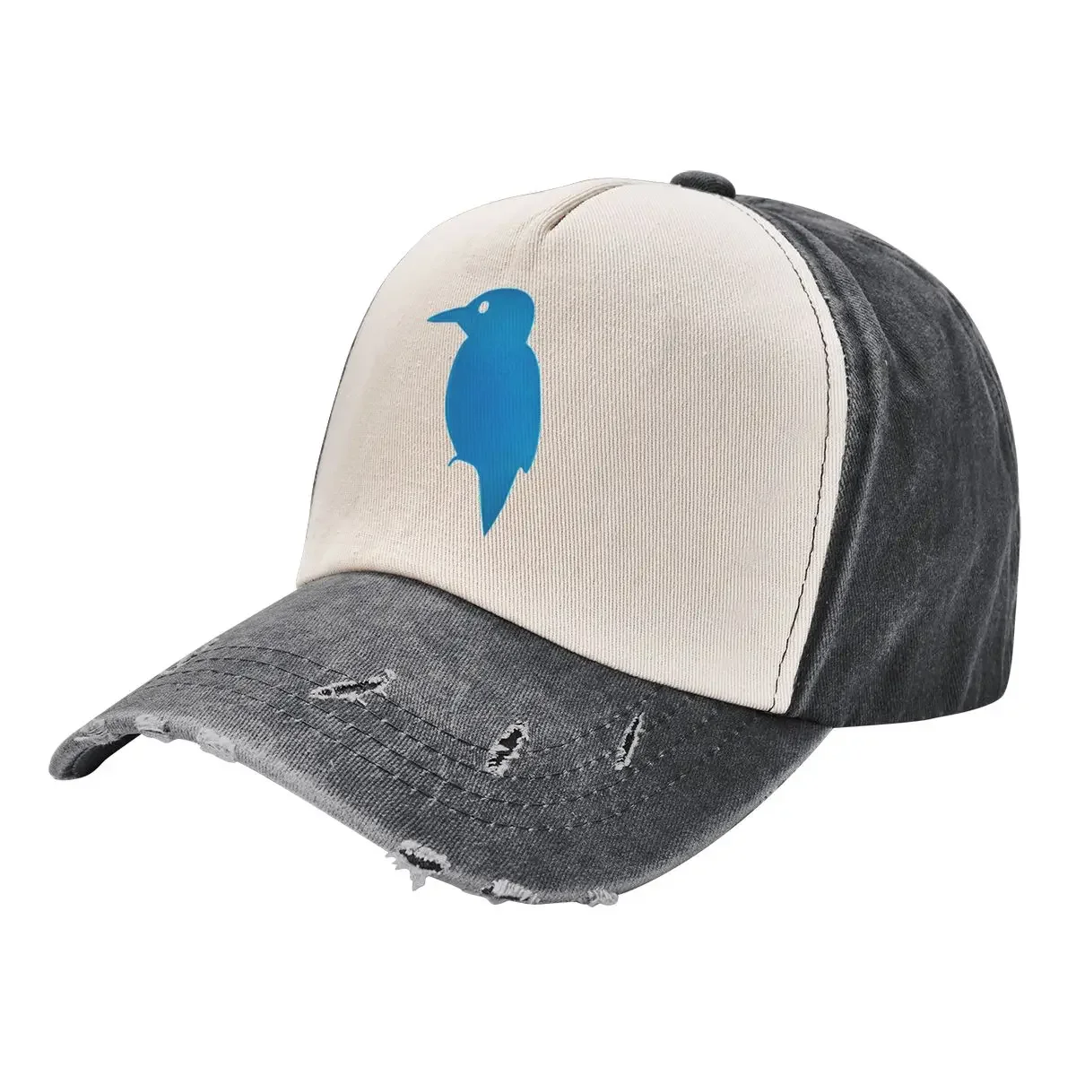 

Kingfisher Blue Baseball Cap Custom Cap Rave Beach Outing Horse Hat Man Women's