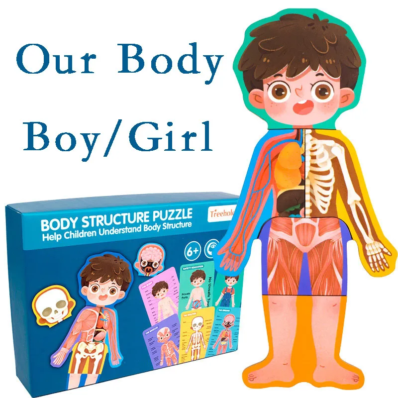 

Human Body Structure Cognitive Toys Children Bio Wooden Puzzle Boy Girl Safety Early Education Books Manga Comic Kids Libros Art