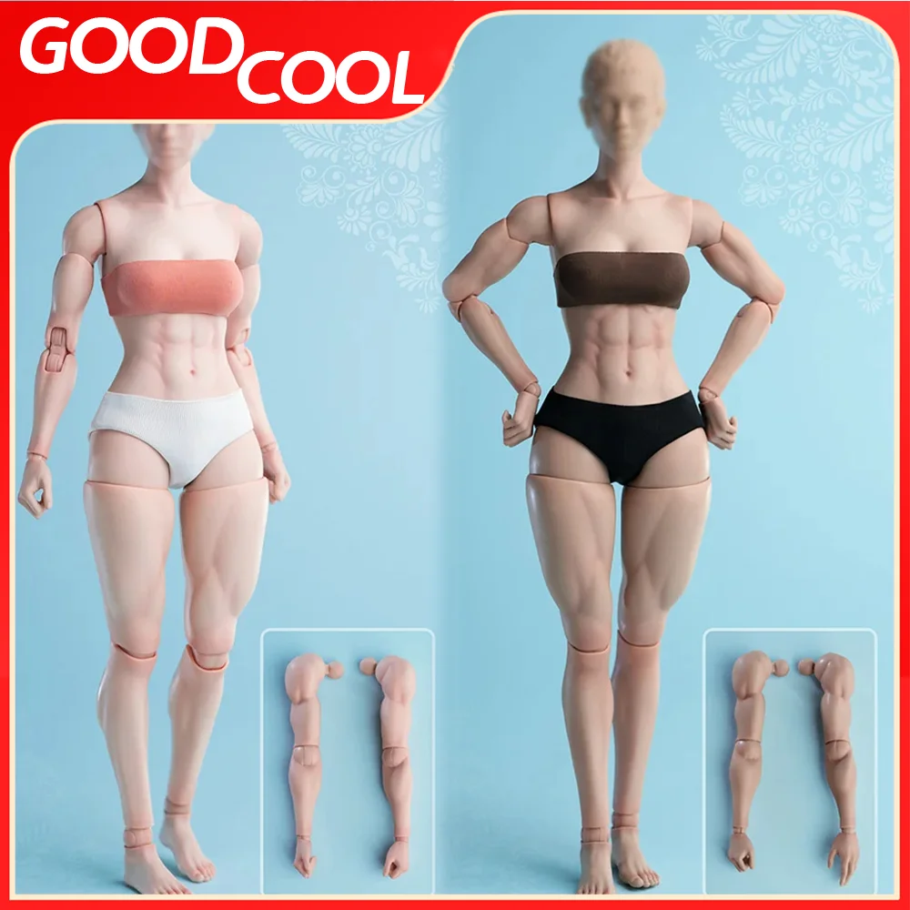 Worldbox AT206 1/6 Scale Female Soldiers With Fair Skin/Wheat Skin Joint Flexible Muscle Version 12 Inch Action Figure Gifts