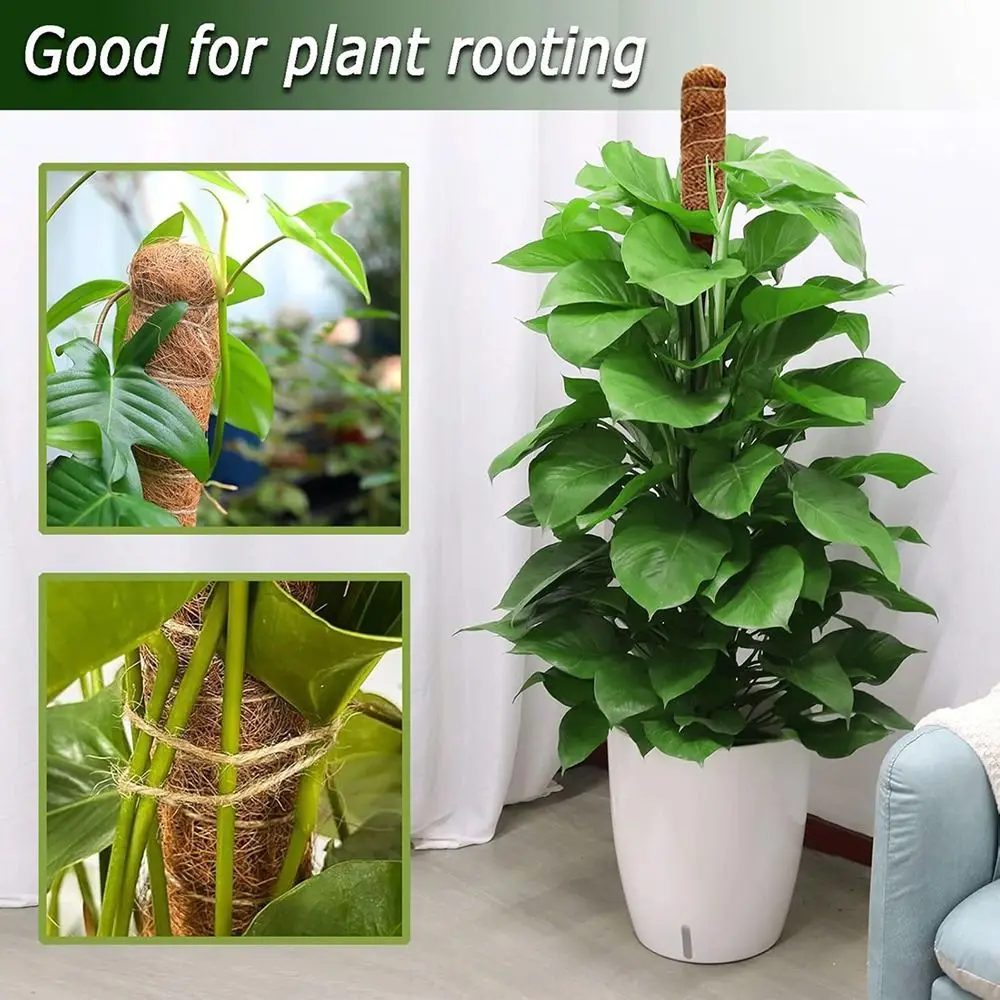 1Pcs Coconut Shell Moss Palm Cane Coir Totem Poles Stretch Gardening Coconut Rod Plant Climbing Frame Bendable 60/110cm view 4