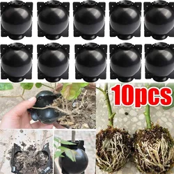 10Pcs Reusable Anlage Wurzel Wachsen Box Schneiden Pfropfen Verwurzelung Ball Garten Verwurzelung Ausbreitung Ball S Zucht Ausrüstung