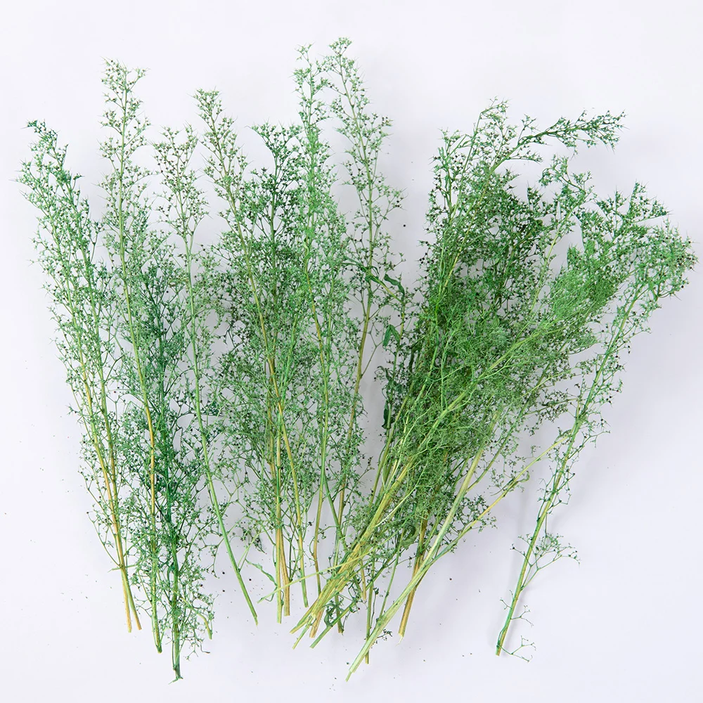 

Miniature Spiny Quinoa Simulation Trees Plants for Railway Train Layout/Military Scenery/Wargame/Diy Model Making/Diorama 1Box