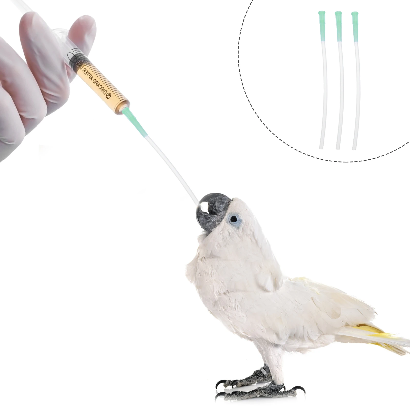 

3 Pcs Hose for Baby Birds 3-4mm Soft Tube Parrot Pet Feeder Food Grade Safe Eco Supplies Birds Feeding Hose Tools