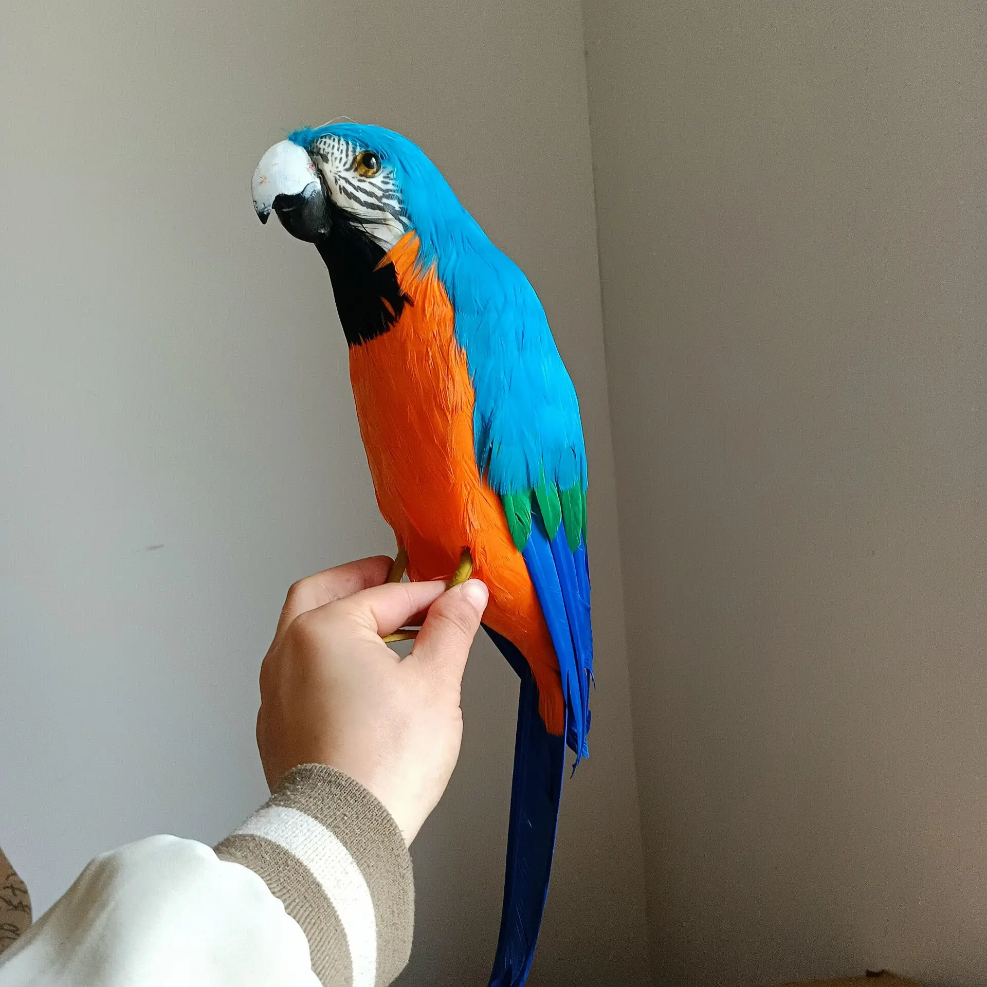 blue&orange simulation parrot toy foam&feather bird model gift about 42cm c2766