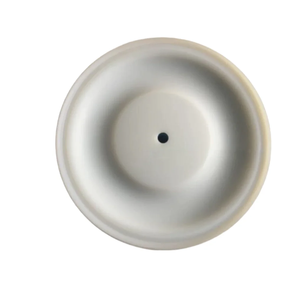 189424 PTFE Graco Diaphragm 1590 Diaphragm Pump Accessories Outer Diameter 225 Diaphragm