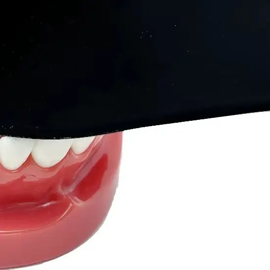 

1pcs Dental Photo Contrast Plate Black Background Autoclavable Cheek Palate Retractor for Oral Photography Dental Tools