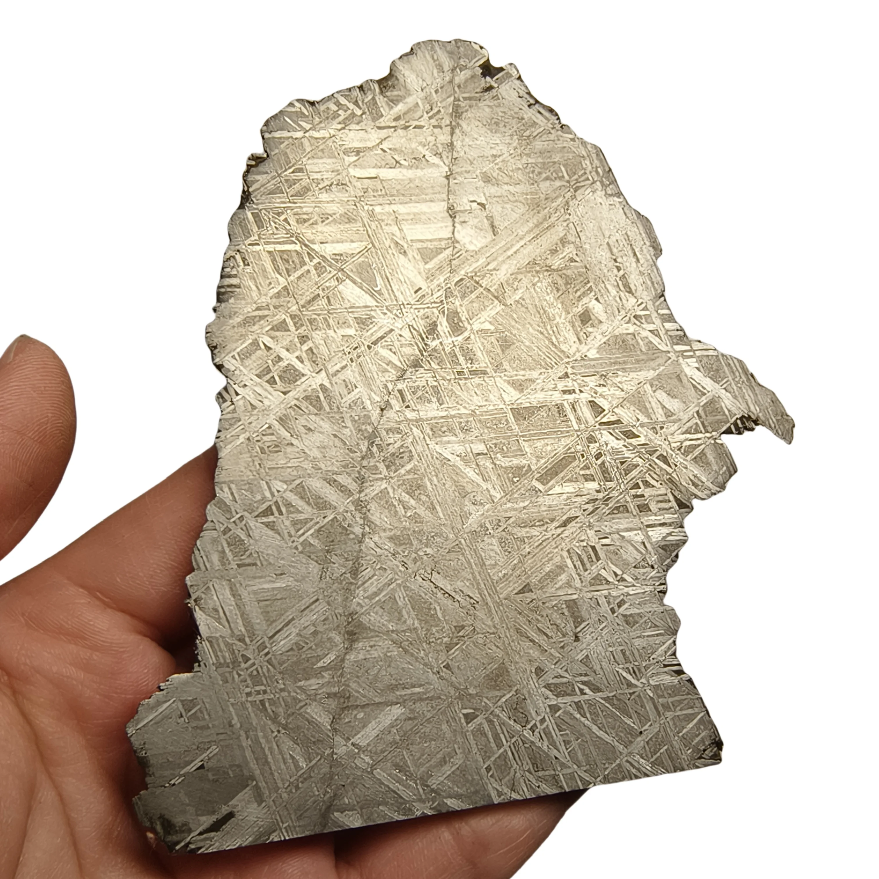 

215.2g Namibian Gibbon Iron Meteorite G Iron Ore Section Speciuy Slices Collectable and Processable -QC788