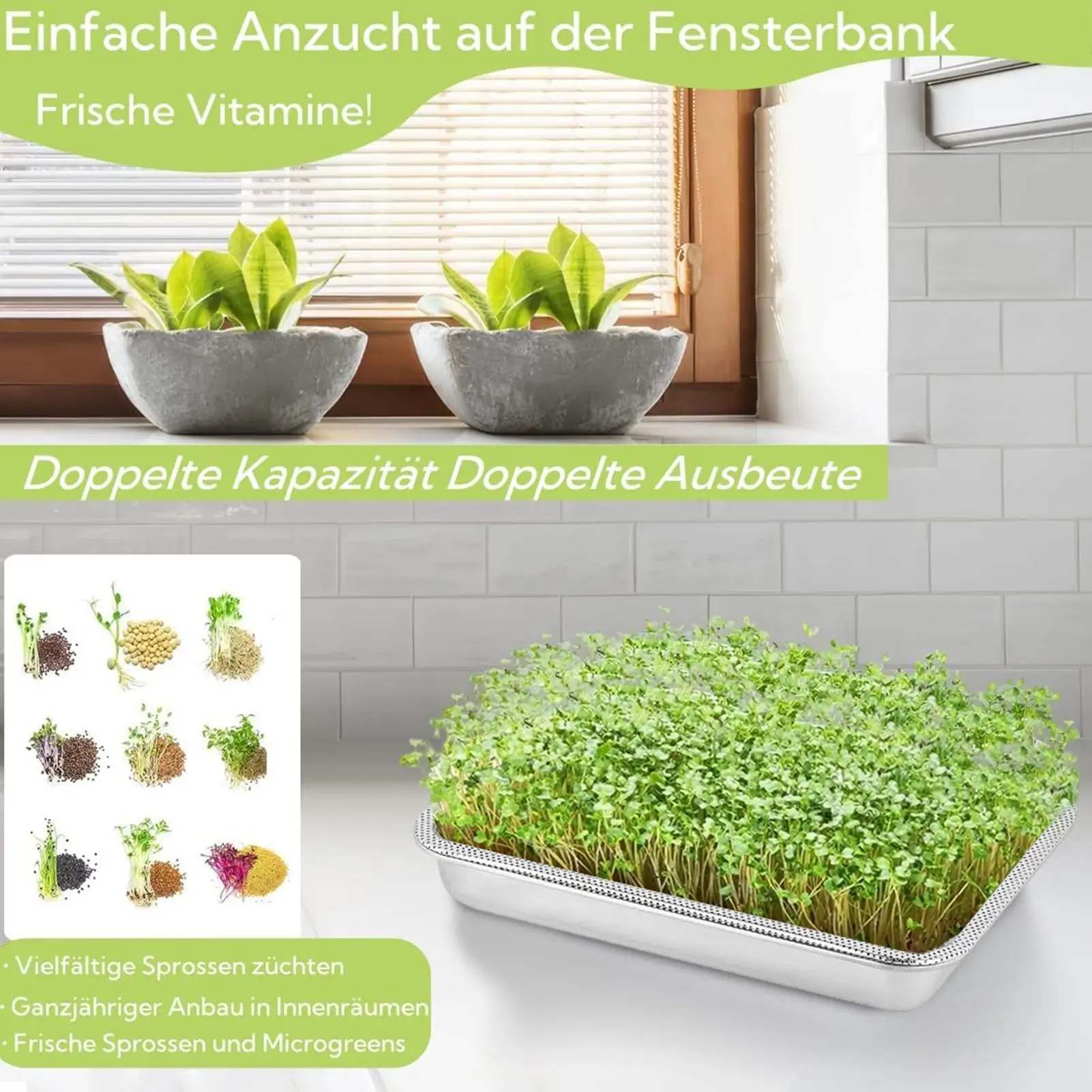 Stainless Steel Plant Sprouting Tray Sieve Screen Reusable Plant Germination Trays for Hydroponics Transplantation Microplants