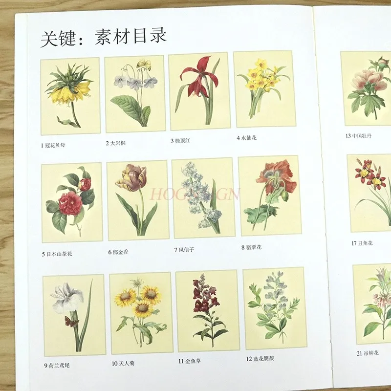 tattoo book Flower Story, Plant Coloring, Colored Lead, Handpainted Book, Introductory Tutorial Book, Painting of Flowers