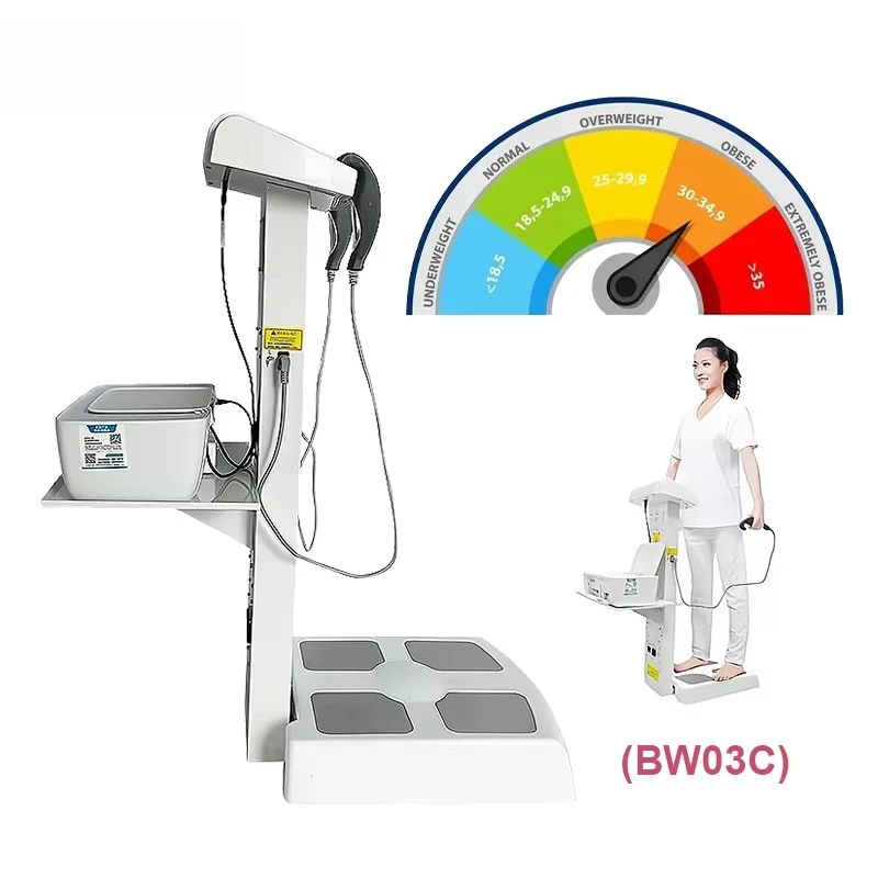 Smart 2 Handles Weight BMI 3D AI Body Analyzer Composition