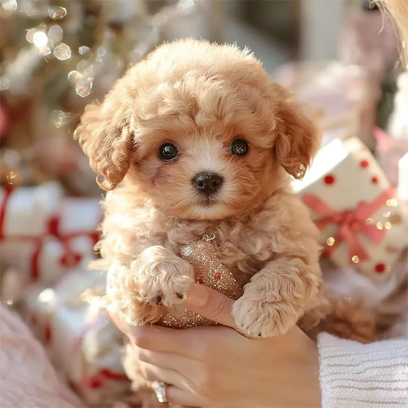 Realistic Toy Dog Kid Plush Electric Toy Can Call Intelligent Pet Dog Robot Short Haired Puppy Doll Emotion Heal Birthday Gift