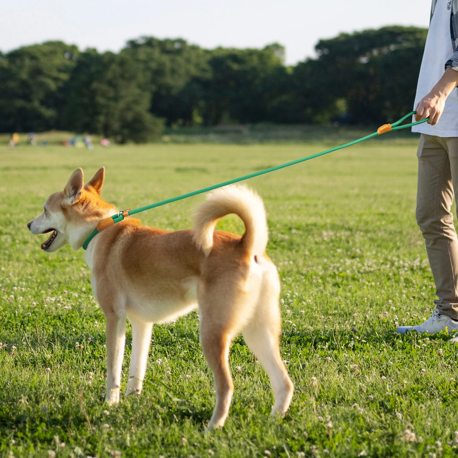 1.5M P Type Dog Leash Adjustable Slide Fastener Buckle Easy and Convenient Medium Big Training Leash for Large Dog Supplies