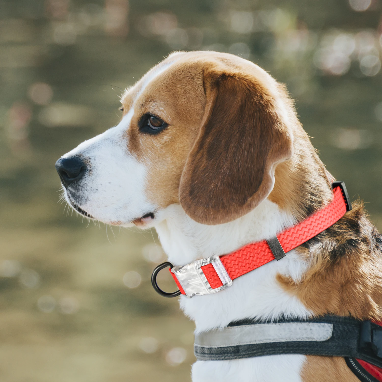 Waterproof PVC Dog Collar Large Medium Collar for Dogs Purple Red Color Options for Big Pet Dog Supplies