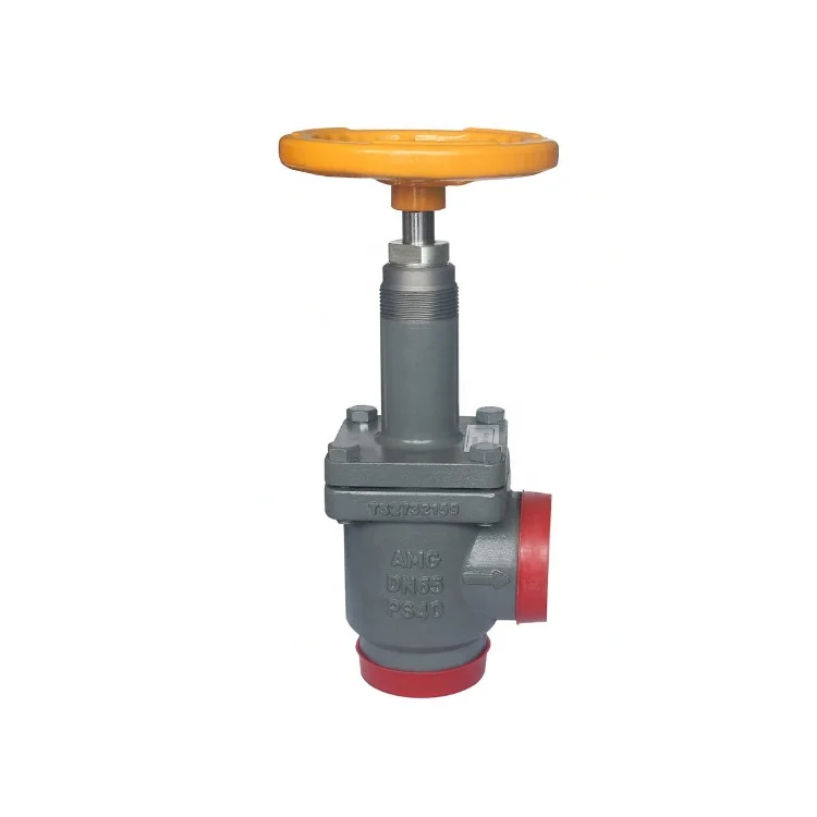 Dn40 Steel Stop Valve Check Valve for Marine Food