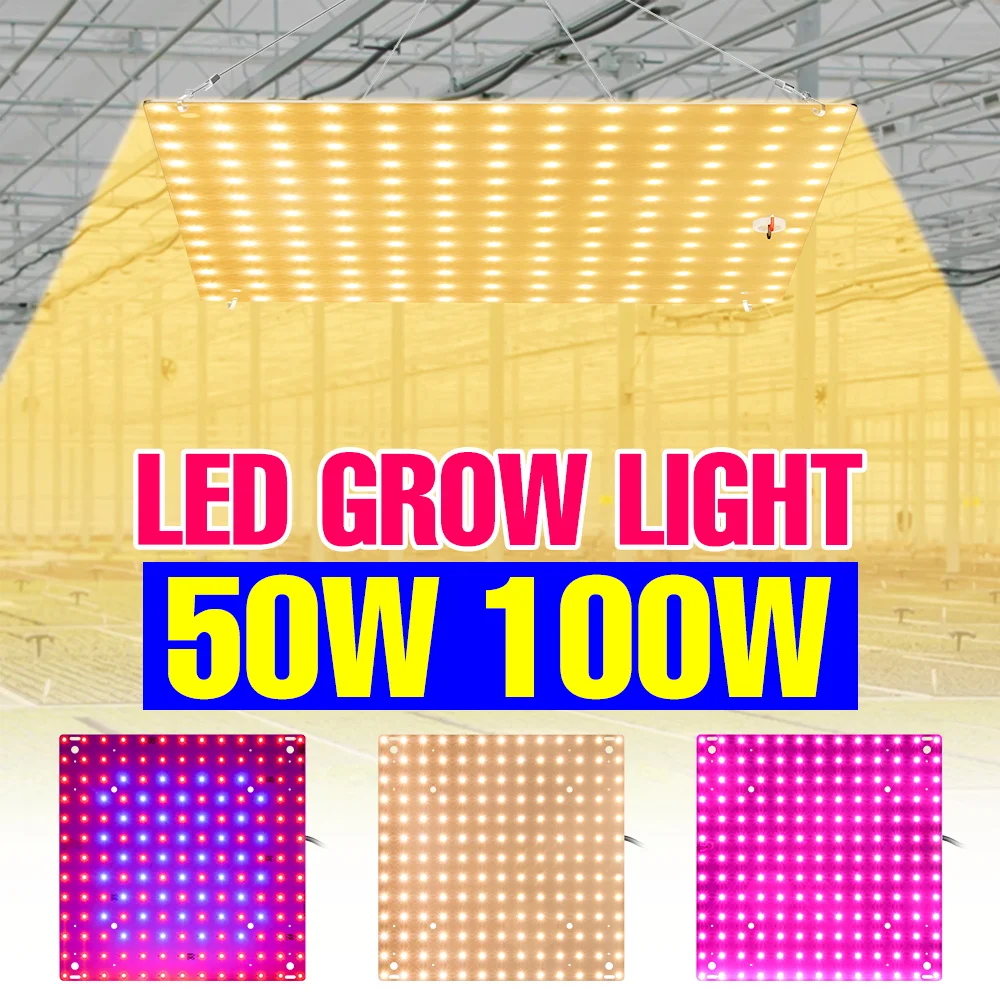 

100W LED Full Spectrum Plant Grow Light Indoor Quantum Board Seedings Cultivation Lamp Greenhouse Tent Fruit Vegs Fill Lighting