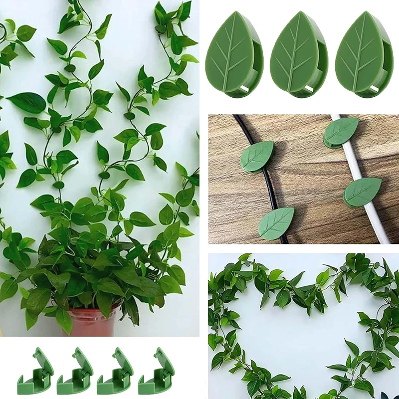 10/20/30pcs Plant Climbing Wall Fixture Clips Fixer Invisible Wall Vines Fixing Clip Hook Plant Vine Traction for Indoor Outdoor