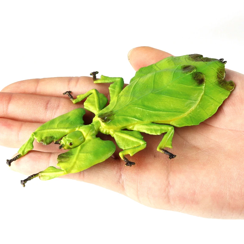 

Simulated Mantis Children's Science Education Wild Insect Model Giant Leaf Insect Compulsion Toys Bonsai Decorative