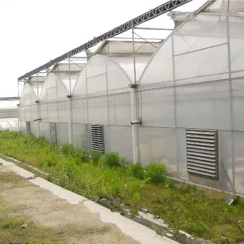 

Customized greenhouseLarge Size Multispan Greenhouse with PE PO Film for Hydroponic Vegetable