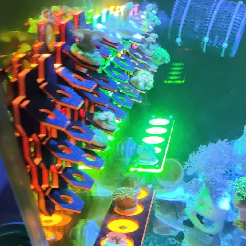 Magnetic Fluorescent Coral Frag Rack Glow Suspended Coral Propagation Base Reef Tank Coral Breeding Holder,3D Printed