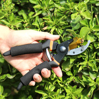 SK5 Steel Pruning and Cutting for Horticultural Nursery Fruit Branches Cutting for Coarse Branches Garden Fruit Tree Scissors