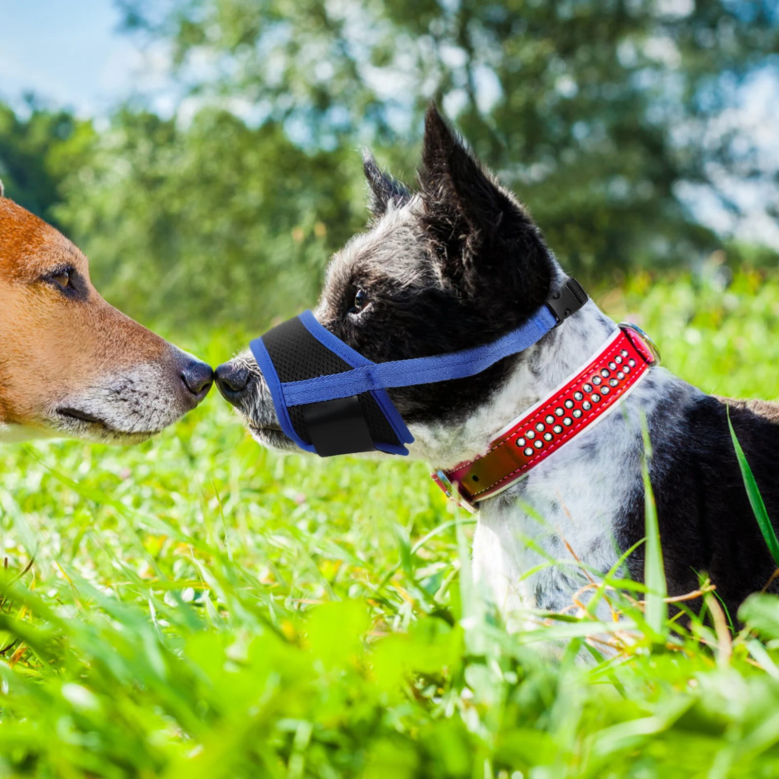 

Adjustable Dog Muzzle 14-20Cm Wear-Resistant Nylon Breathable Anti-Barking Muzzle For Medium Small Dogs Puppy Walking Dog