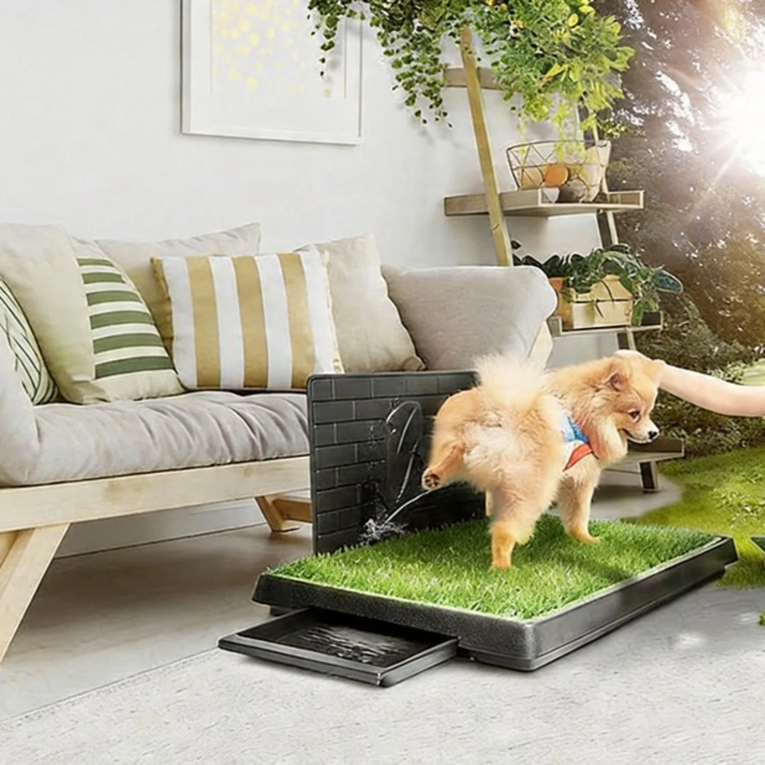 Tapis de propreté pour chien, un système de propreté réaliste à trois couches en herbe artificielle avec trous de drainage, adapté à l'entraînement des animaux de compagnie et à une utilisation dans une large variété d'environnements intérieurs et extérieurs. Idéal pour les chiots, les chiens de petite à moyenne taille