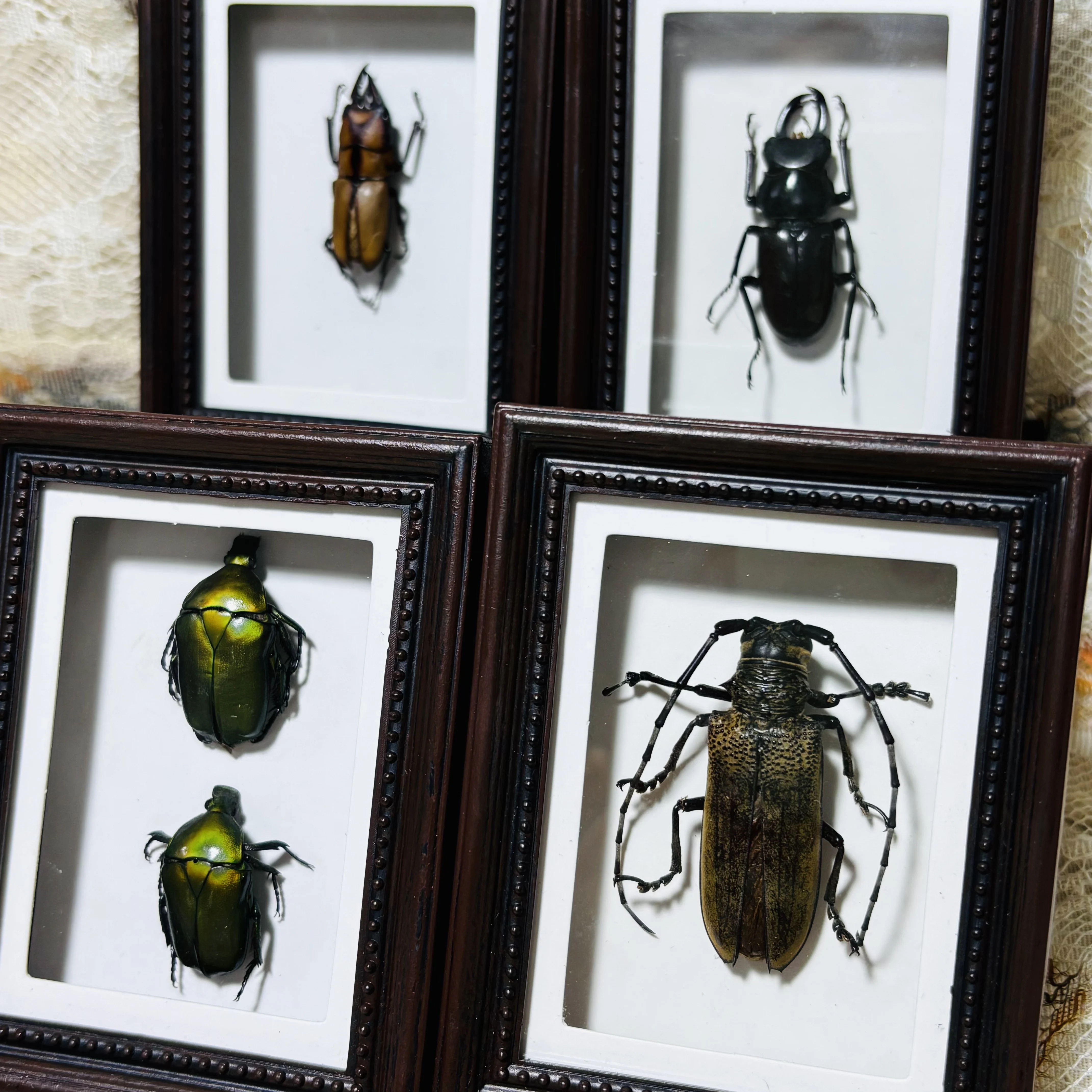 2191 Handmade Beetle Shadow Box Display Frame Ornament Gothic Punk Dark Decor Mini Insect Art Fridge Magnet Halloween Christmas