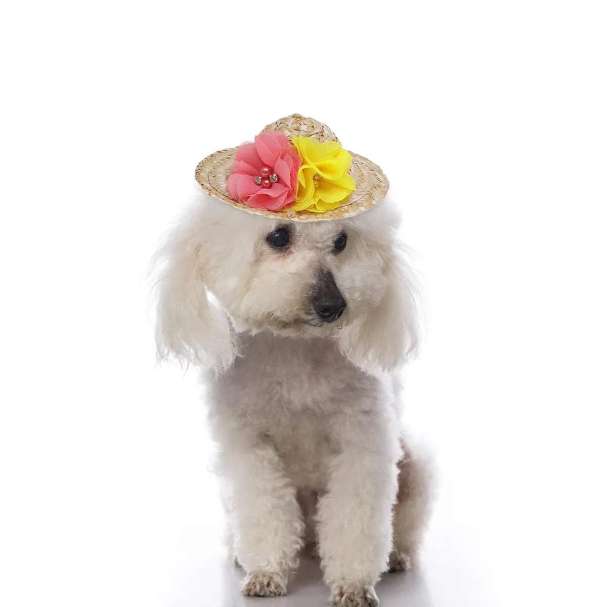 

Pet Straw Cap for Dog Cat Summer Sun Hat Small Dogs Puppy Brim Boy Stylish Unique Lightweight Safe Everyday Use Adjustable Chin