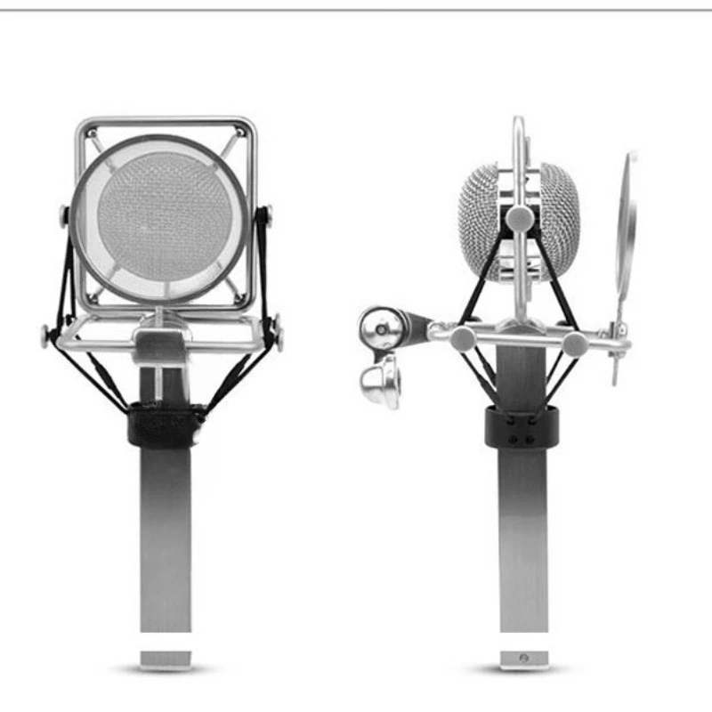 Professional recording studio, network microphone