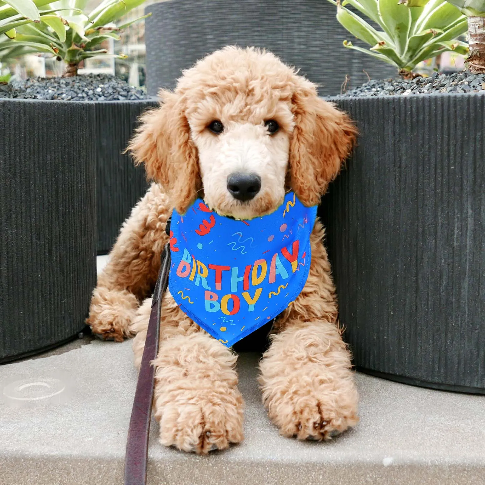 

2pcs Birthday Triangle Scarf Puppy Bib Bandana Neck Scarf Saliva Towel Pet Plaything Simulation Bone Pet Gift