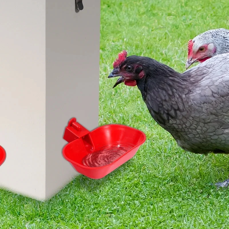 Automatic Poultry Water Bowl Square Enlarged Pet Drinking Dispenser for Chicken Duck Goose - 5/10 Pcs Set Feeding Tools