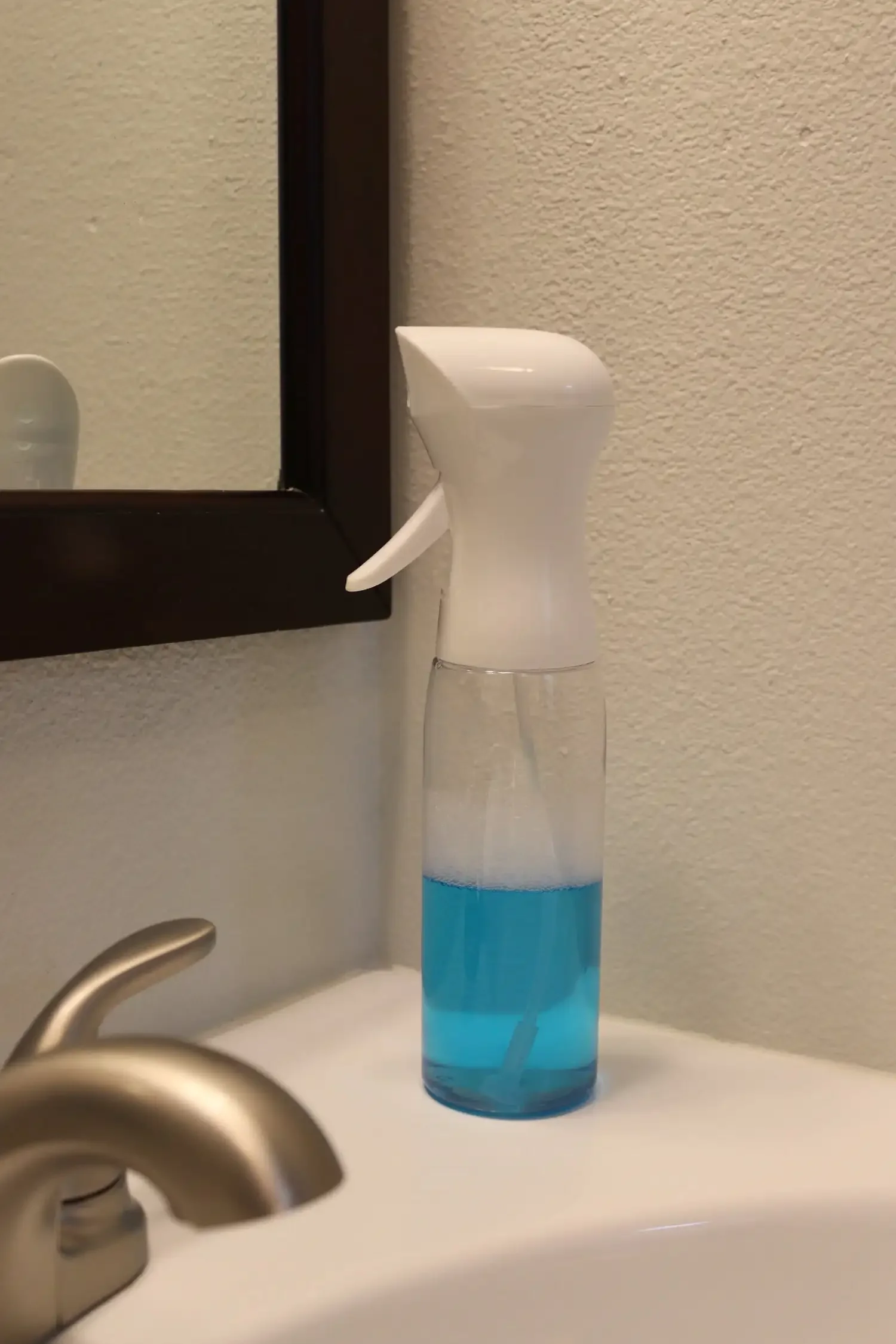 12 Ounce Mister 2-Pack Plastic Spray Bottle DC, 9.75"