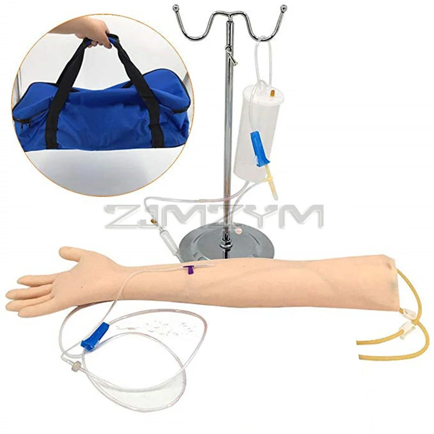 Advanced arm Anatomical Phlebotomy Venipuncture Practice Model anatomyInjection practice Medical Simulator Nurse Training kit