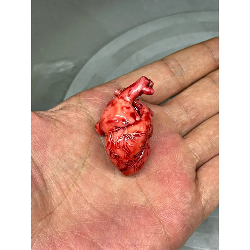 Miniature Resin Heart & Brain Model Glass Jar Specimen Ornament Simulation Organ Decor